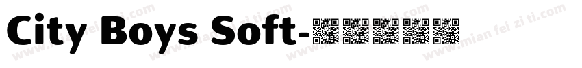 City Boys Soft字体转换